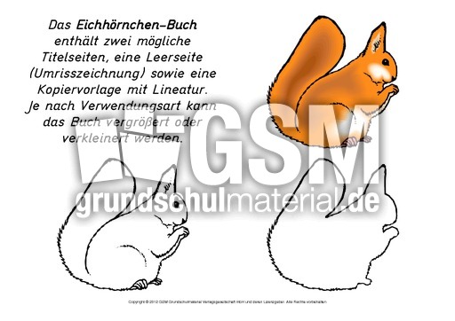 Mini-Buch-Eichhörnchen-2.pdf